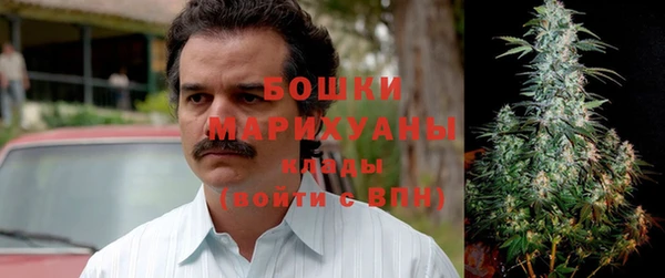 бошки Аркадак