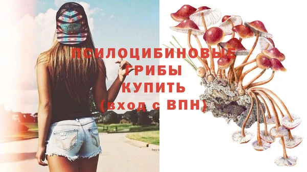 соль ск Арсеньев
