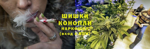 бошки Аркадак