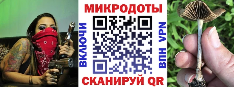 hydra зеркало Бакал Галлюциногенные грибы Psilocybine cubensis