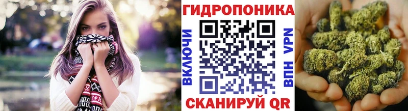 гидра вход  где купить наркотик  Бакал  Бошки марихуана план 